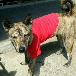 ７月１９日生まれ・幸ちゃん♪