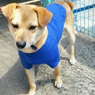 決まりました♪