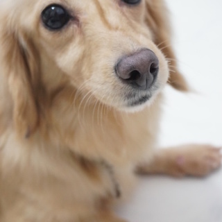 沢山の応募をありがとうございます。音愛