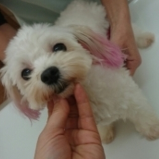 小金沢ジュレの家族になっていただけませんか？