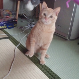 元気で遊ぶのが好きな男の子です