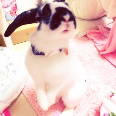 1歳のママです♡