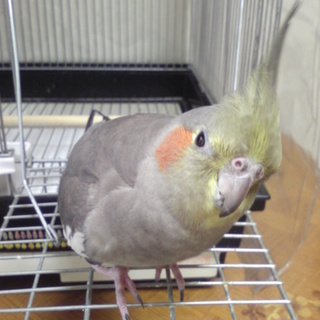 たくさんのご応募、ありがとうございました！