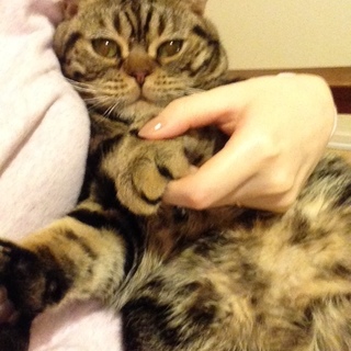 里親さんが決まりました。ありがとうございました。