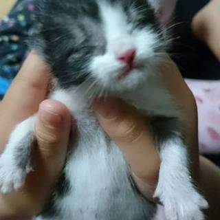 生まれて４日位です。