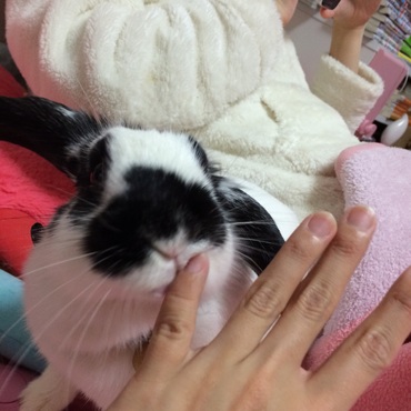 おててぺろぺろ♡