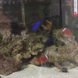 決まりました(^^)ありがとうございます