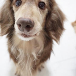 沢山のお申込みをありがとうございました。春陽　