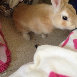 出会いから別れ、そして一年たちました。