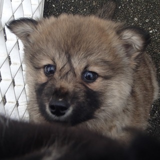 それぞれ譲渡されたそうです！！