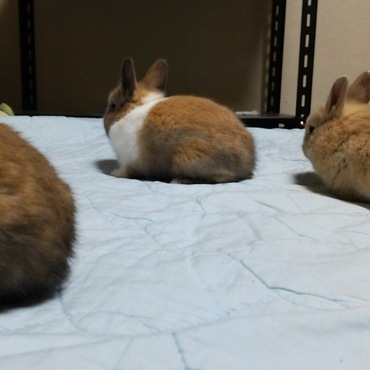 はじめての場所は仲間同士で固まるものなんですが、フリーダムw