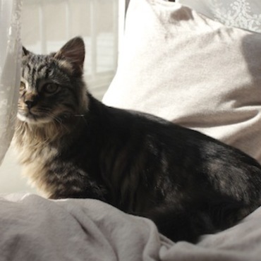 雀さん見学中^^