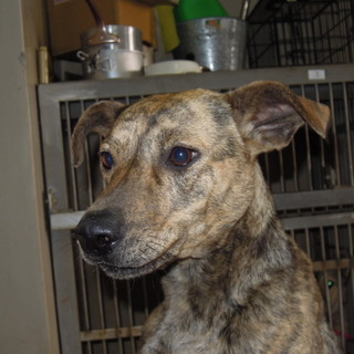 新しい家族が出来ました！！