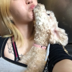 こんにちは。トメさん