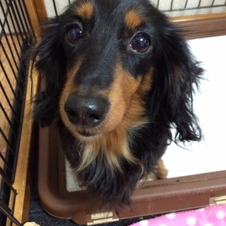 初めてのことばかりです☆