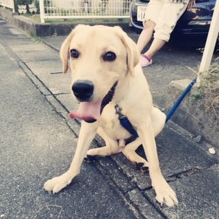 よろしくお願いします。