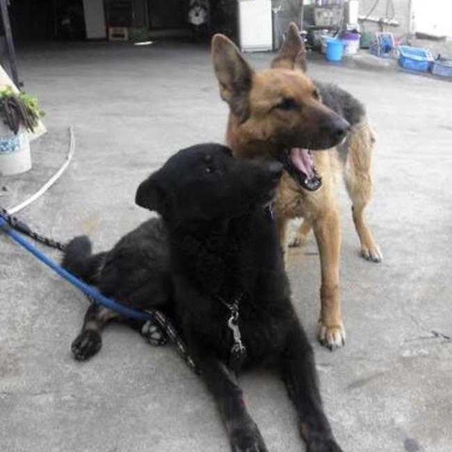 ベル&イリスのカバー写真