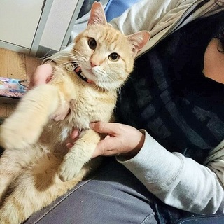 甘えん坊遊び好き♪