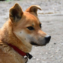 ミーナが卒業しました