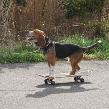 スケボーを楽しむノナンJr