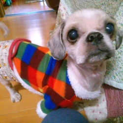 ひかる、またね！