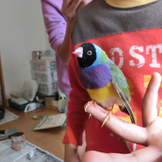 たくさんのご応募ありがとうございました