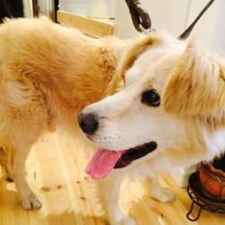 トライアル1日目