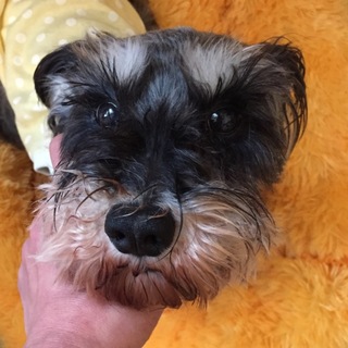 ビビリだけど活発な女の子♪