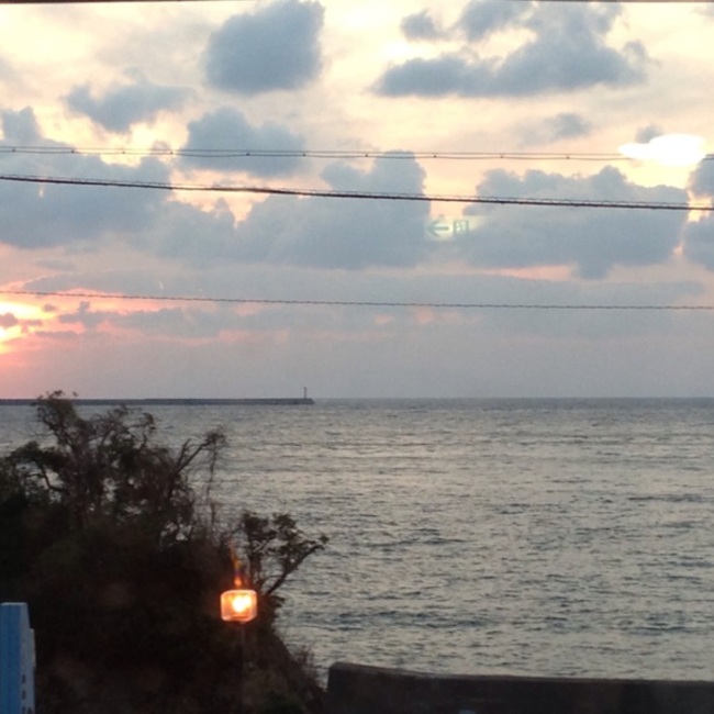 シナモン5901のカバー写真