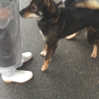 緊急‼︎大竹くん‼︎