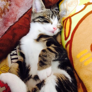 マッサージ気持ち良い〜♪