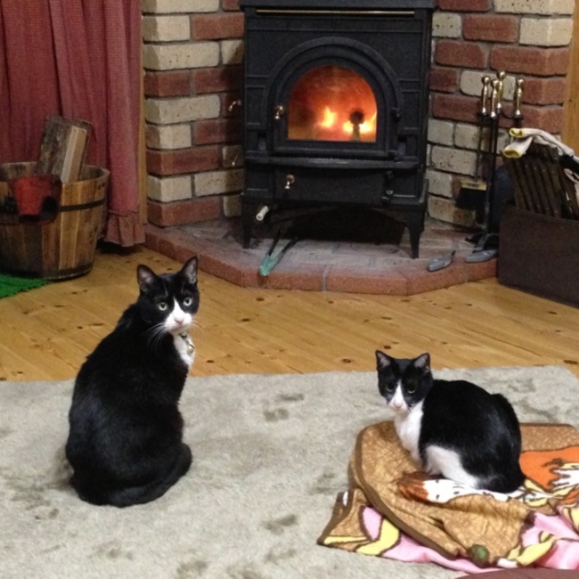 noryuのカバー写真