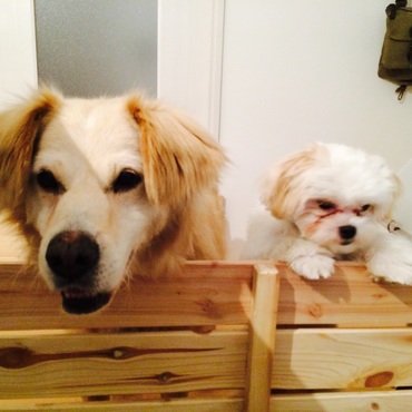 仲良く見えるけど…ホントは⁉︎