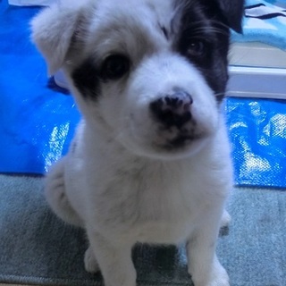 4月19日現在、募集一端中止にさせて頂きます