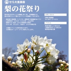 わんことにゃんこの譲渡会2015　春＠せら大豊農園　なしの花祭り