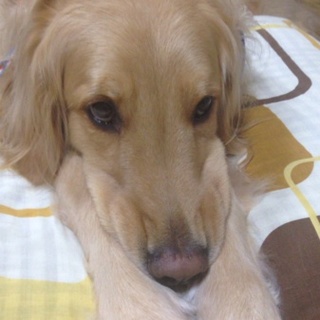 2歳のりく、大人しく、イタズラしません！