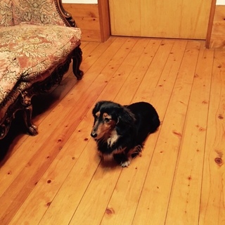 私だけを可愛がって！