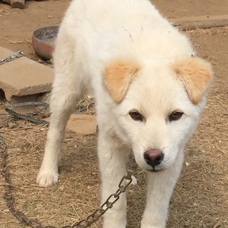 劣悪な環境から助けてください。