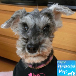 「つぐみ」推定８歳♀