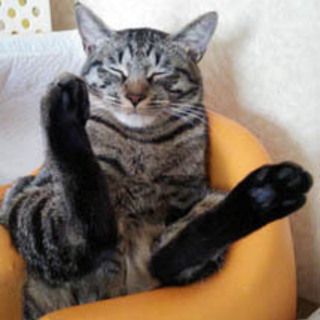 太陽のように明るいサン君