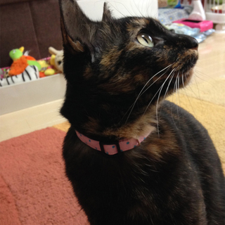 タイムリミットが迫っていて・・・