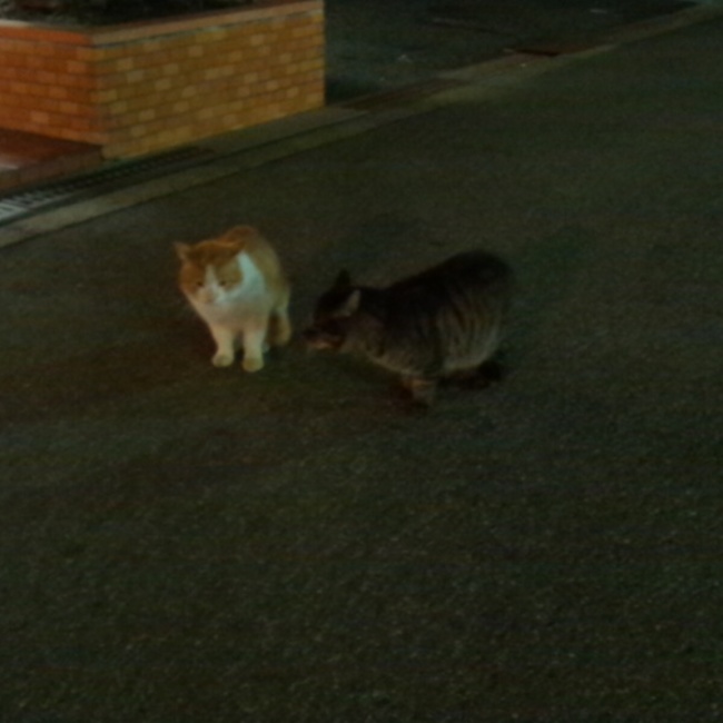 おはる0202のカバー写真