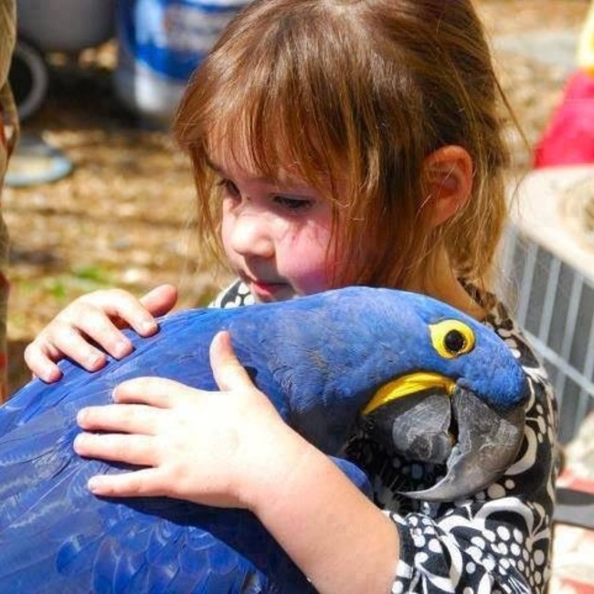 harukoのカバー写真