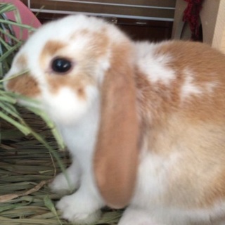 たくさんのご応募ありがとうございました！