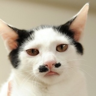 ブリトニーちゃん