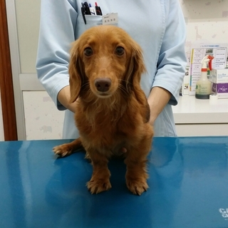 ご連絡ありがとうございました‼決定しました。