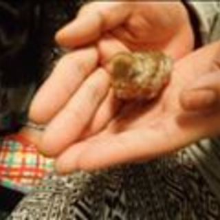 たくさんのご応募有り難うございました。