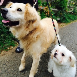 「一週間目」サムネイル1