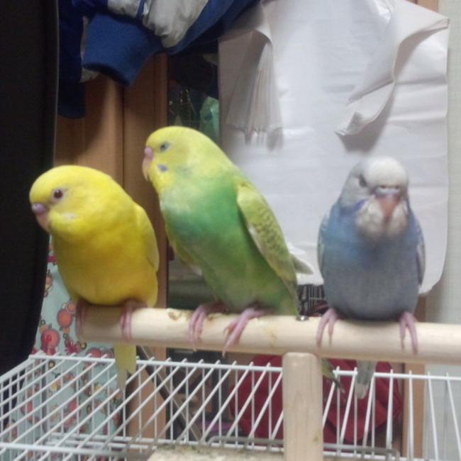 ひさのりのカバー写真