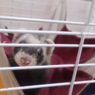 ご応募ありがとうございました。